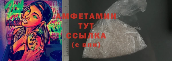 амф Вуктыл