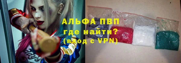 эйфоретик Няндома