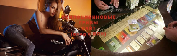 эйфоретик Няндома