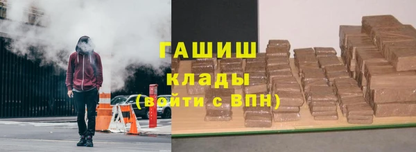 эйфоретик Няндома