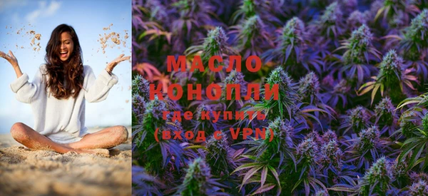 эйфоретик Няндома