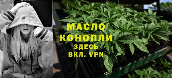 эйфоретик Няндома