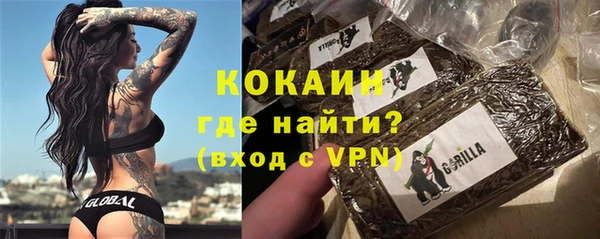 эйфоретик Няндома