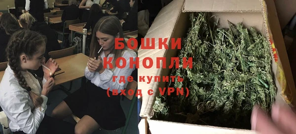 PSILOCYBIN Нягань
