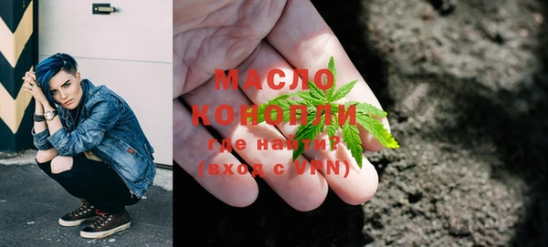 эйфоретик Няндома