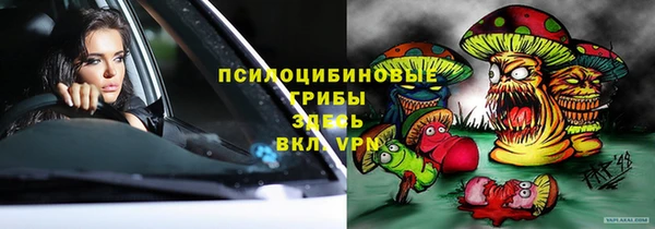эйфоретик Няндома