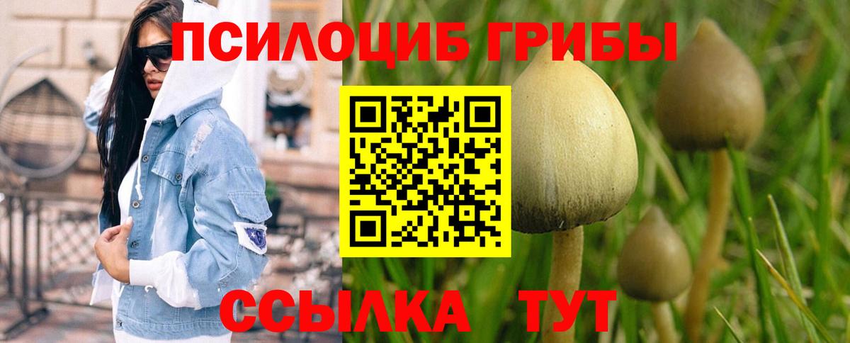 Псилоцибиновые грибы Psilocybe  Крымск  Псилоцибиновые грибы Psilocybe 